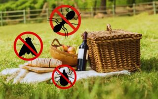 Summer Pest Control: Keeping Your Picnic Bug-Free