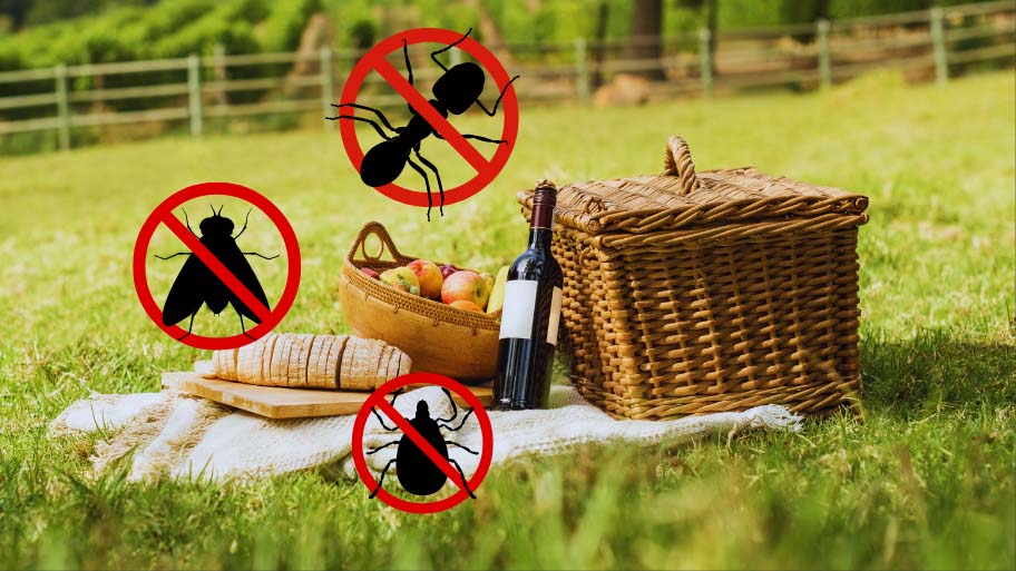 Summer Pest Control: Keeping Your Picnic Bug-Free