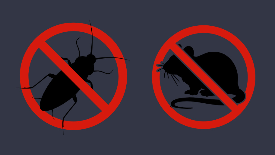 Pest Control Service in Denver, IA