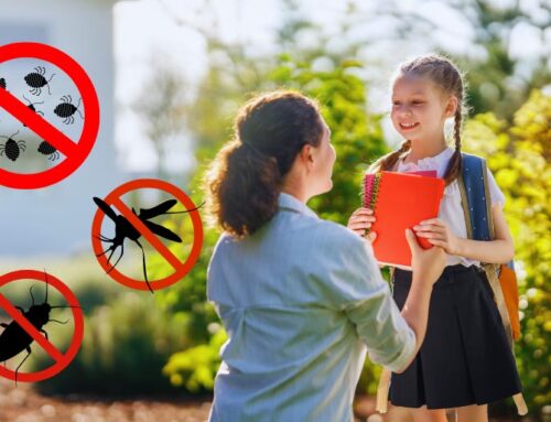 Back to School Pest Prevention: Essential Safety Measures