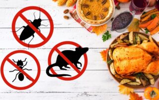 Thanksgiving Pest Control