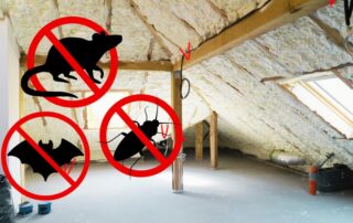 Attic Insulation and Pest Control