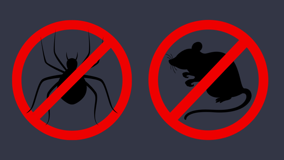 Pest Control Service in Cedar Falls